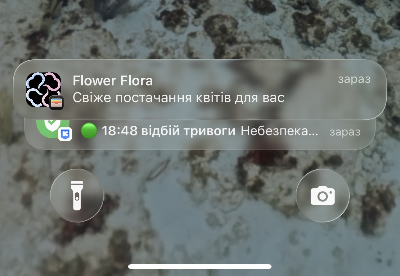 приклад сповіщення бонусної картки з Flora24