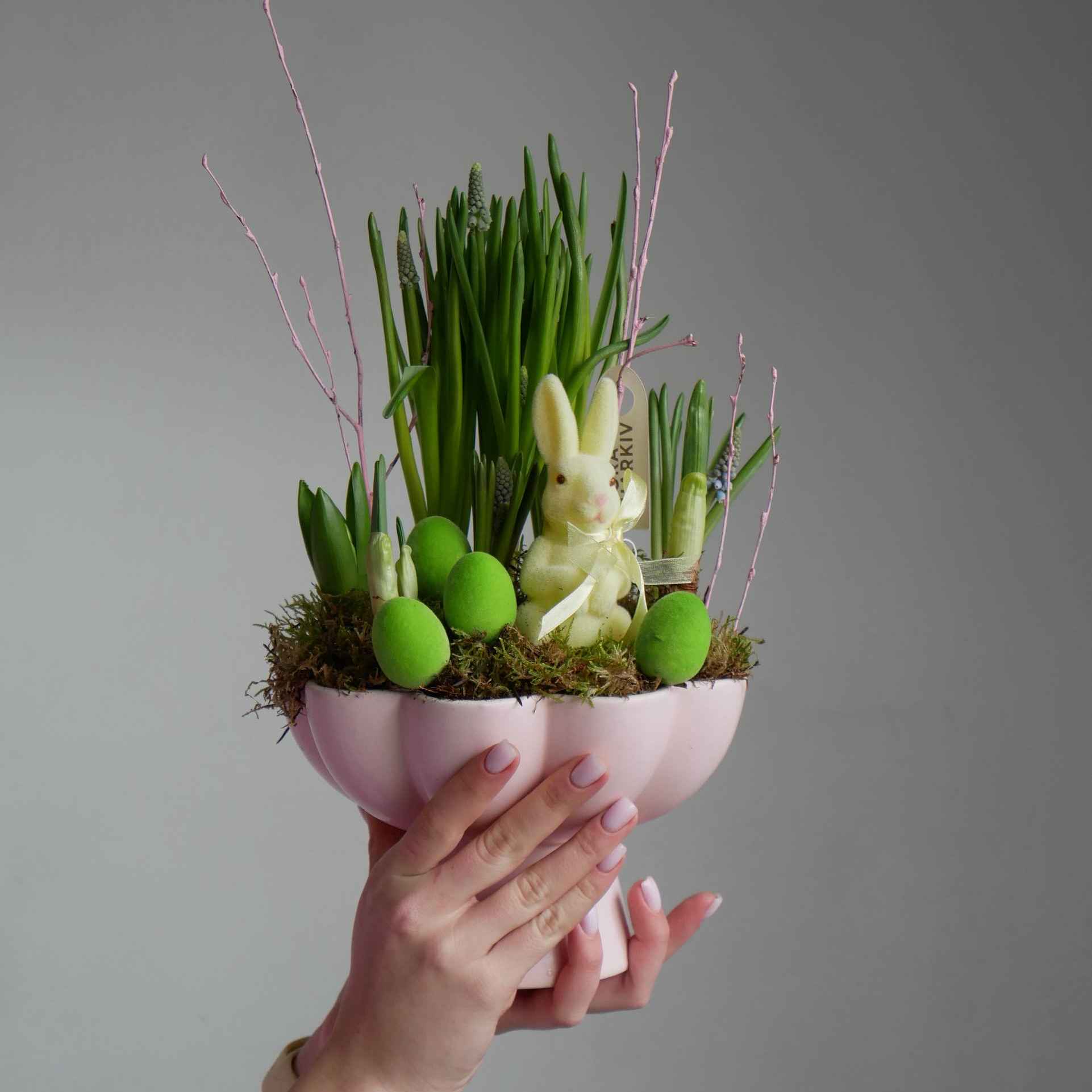 Перошоцвіт 1