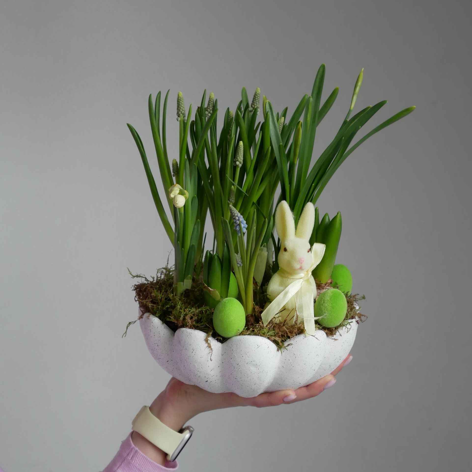 Перошоцвіт 2