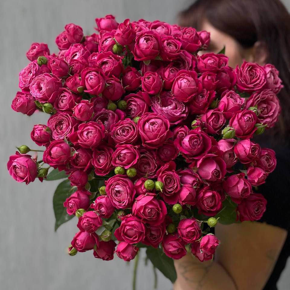 Троянда Марвелоус Баблз