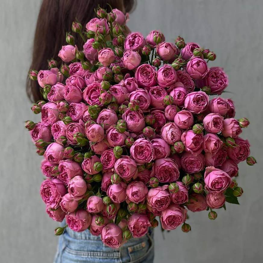 Троянда Місті Баблз