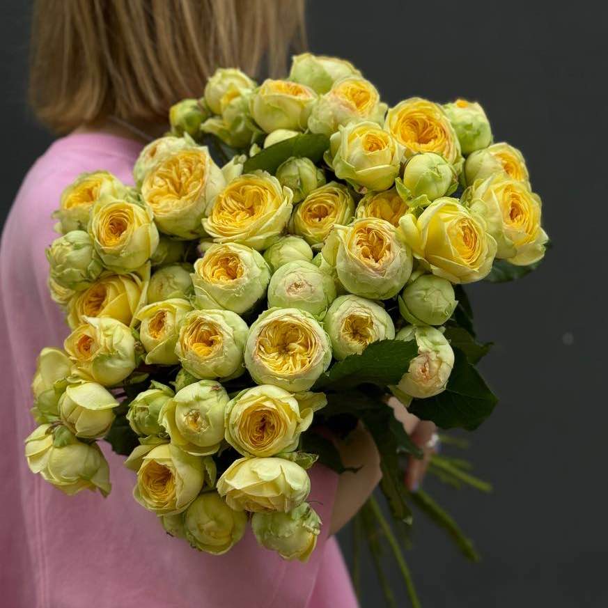 Троянда Піоні Баблз