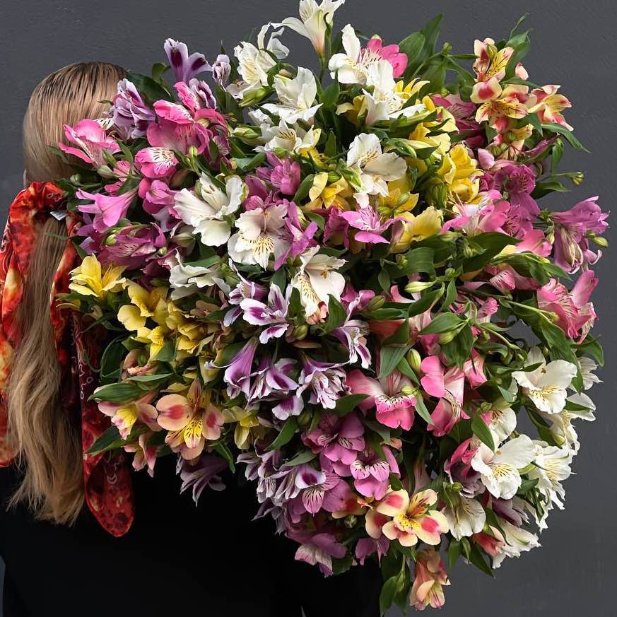 Альстромерія