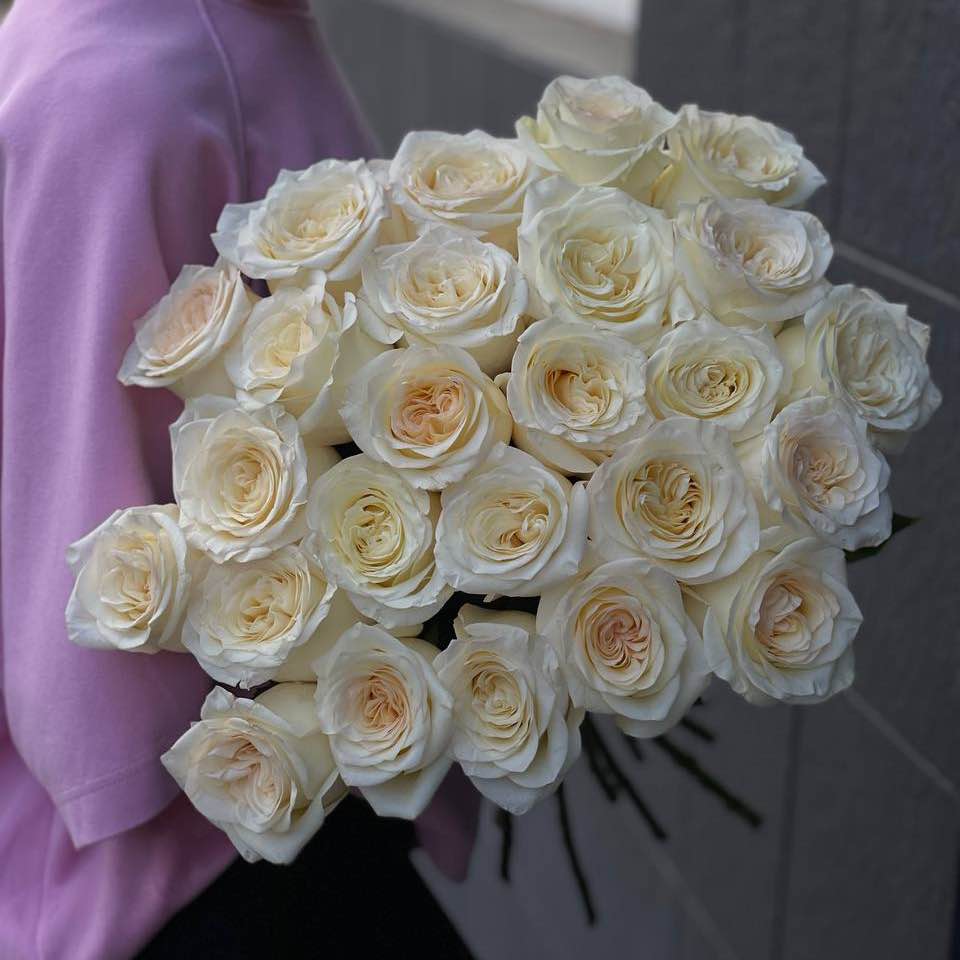 Троянда Кенделайт