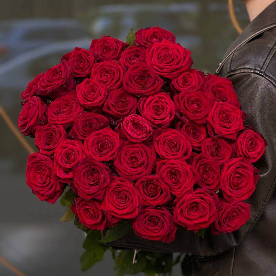 Троянда Гран Прі