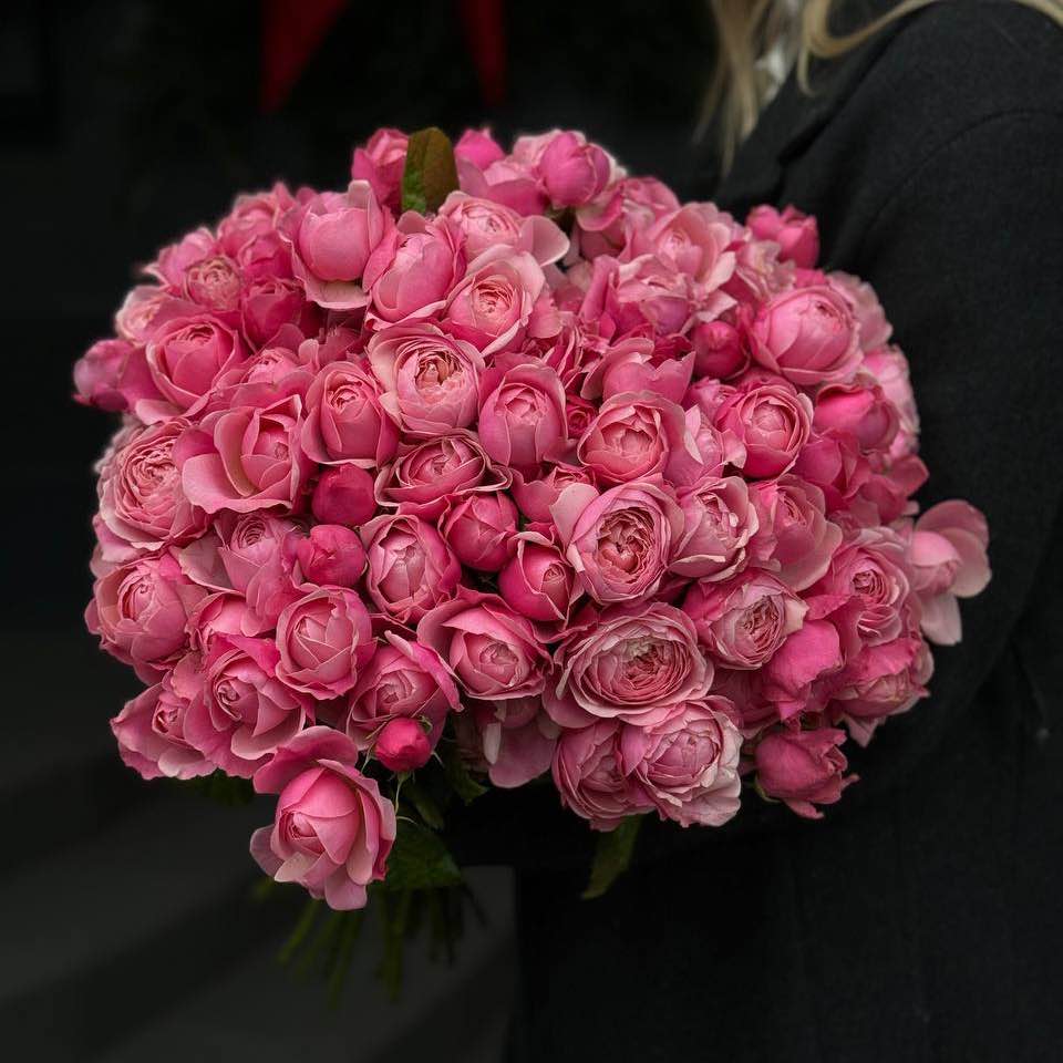 Троянда Сільва Пінк