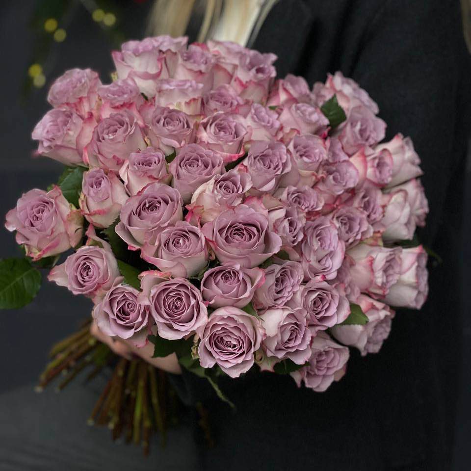 Троянда Меморі Лейн