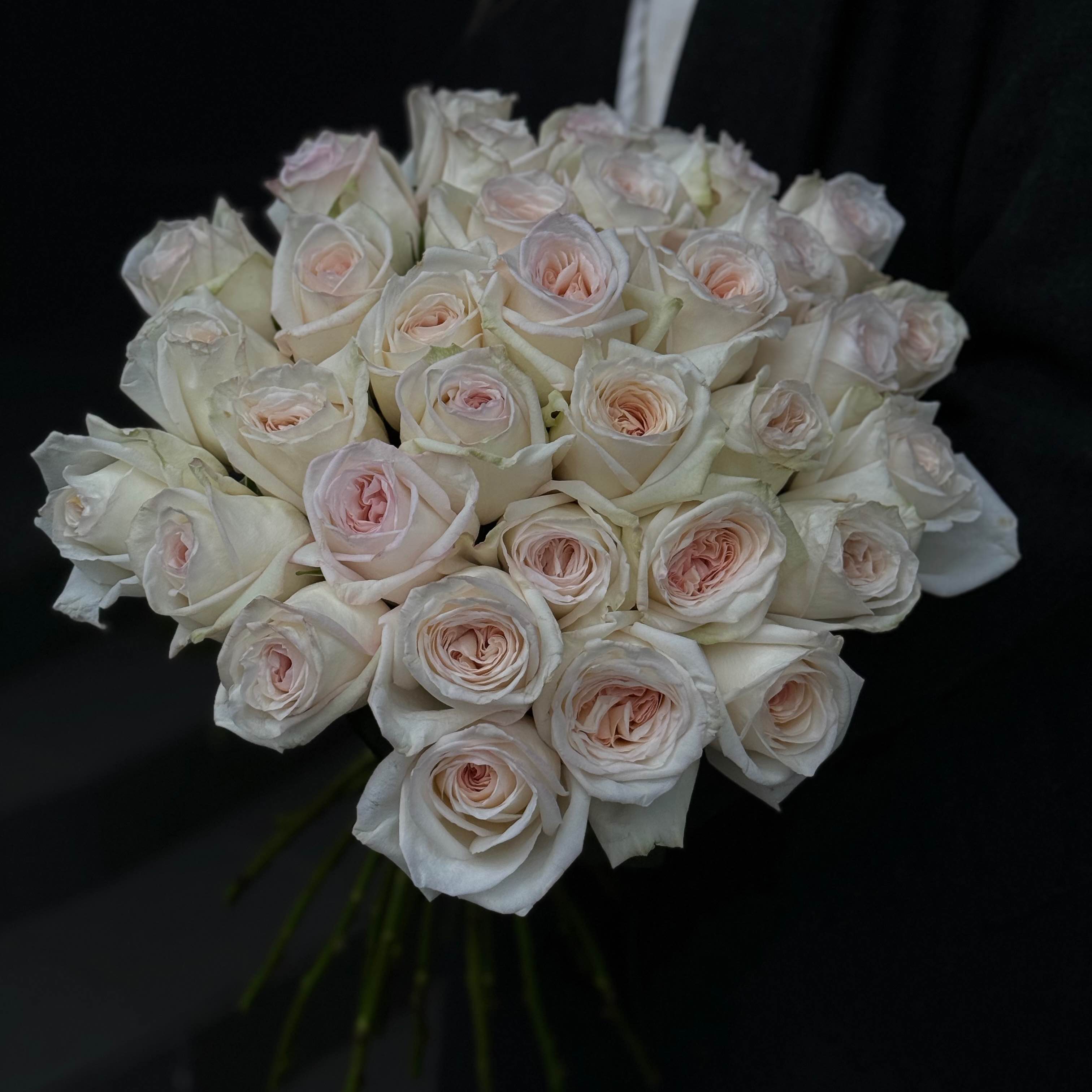 Троянда Вайт Охара