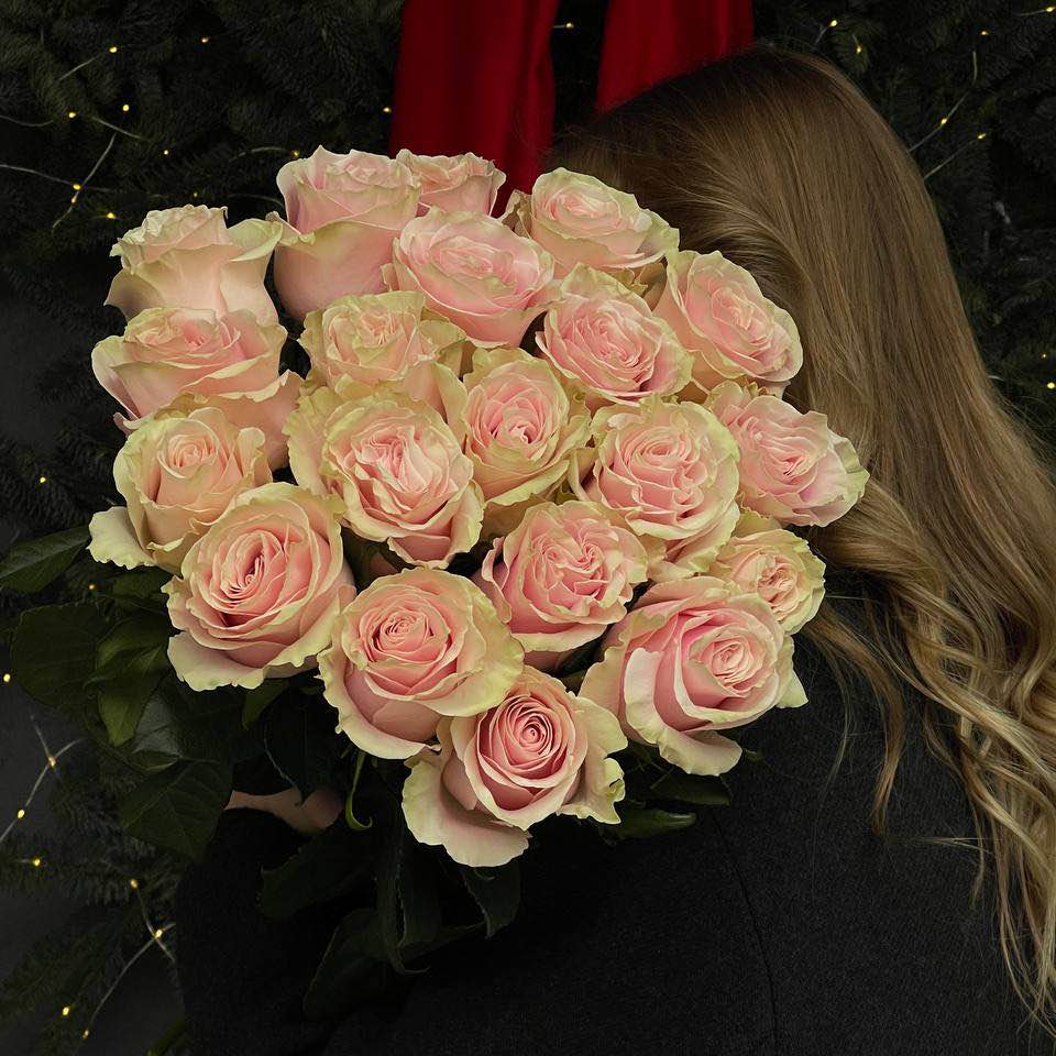 Троянда Мондіаль