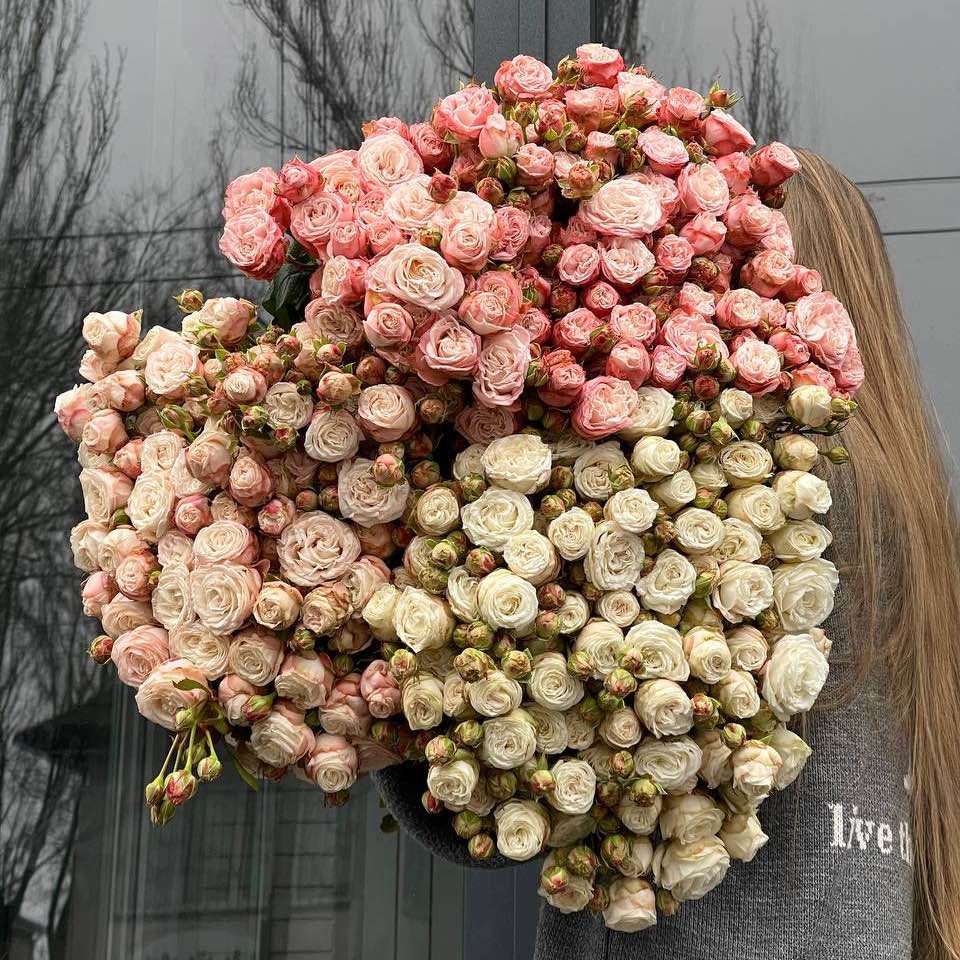 Троянда Бомбастік 