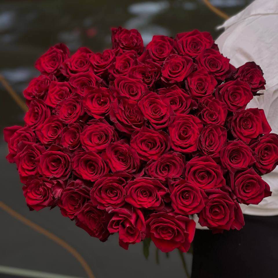 Троянда Експлоєр