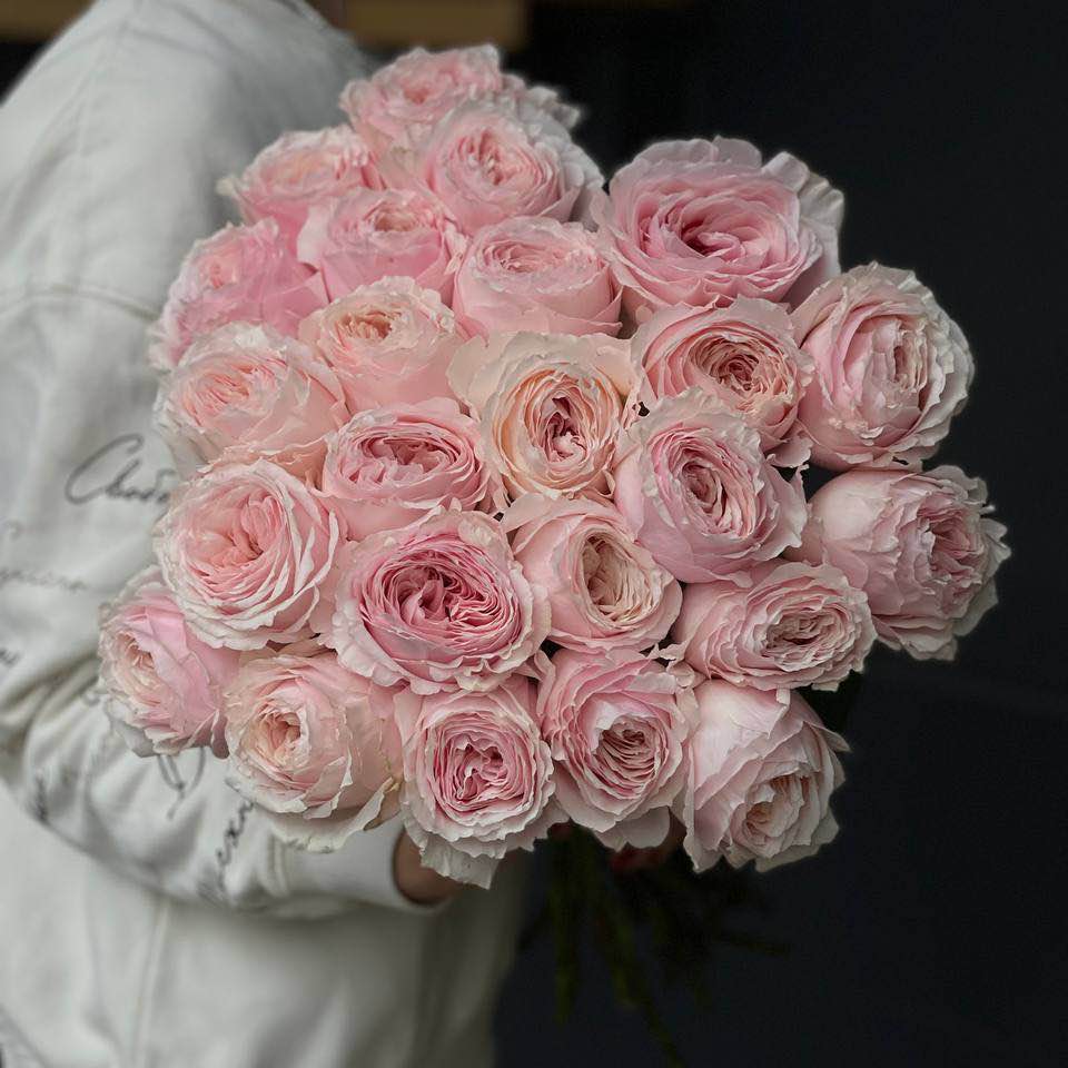 Троянда Цумугі