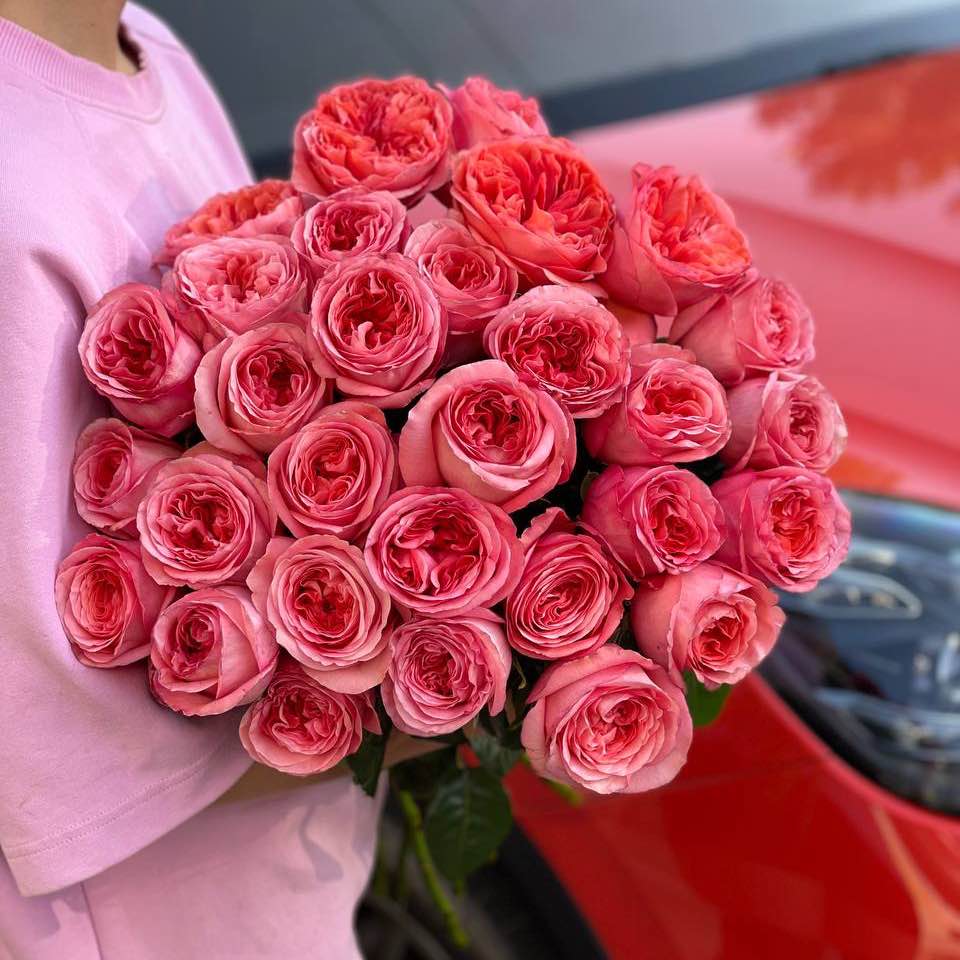 Троянда Пінк Експрешн