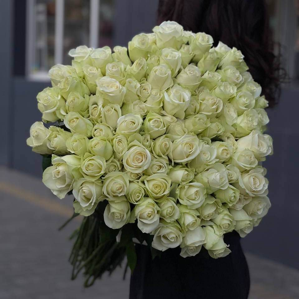 Троянда Аваланч