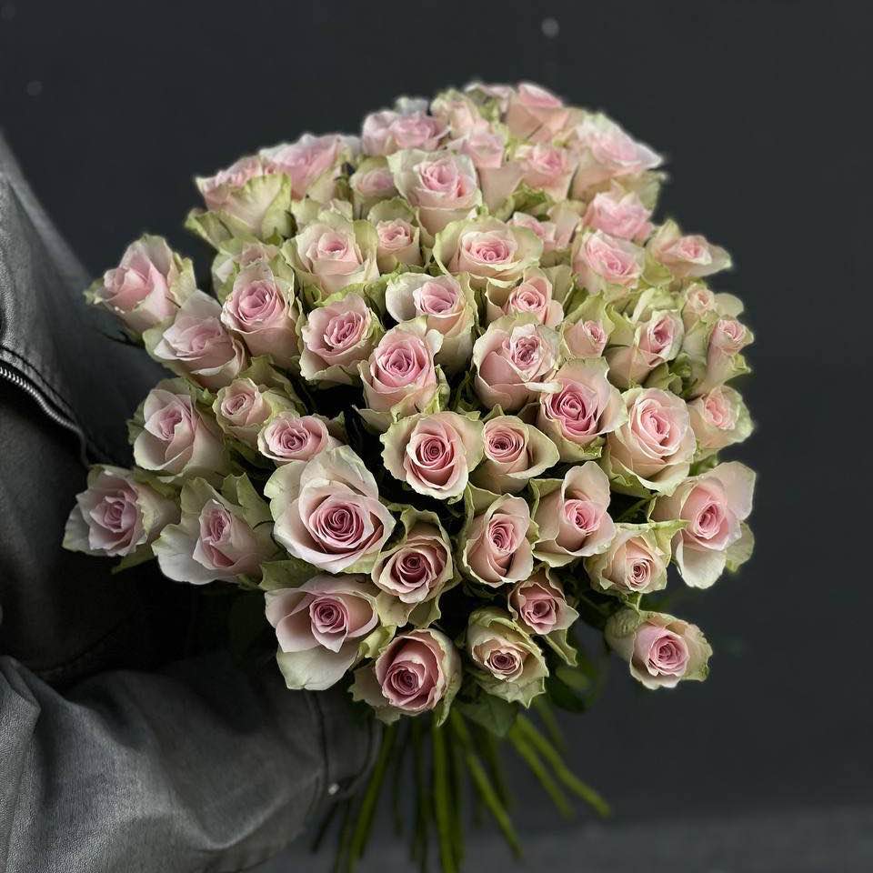 Троянда Етена