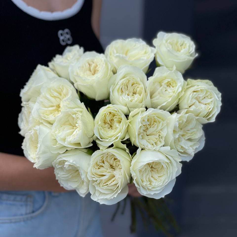 Троянда Майра