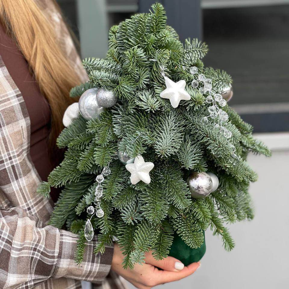 Ялинка біла маленька 