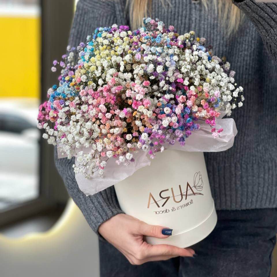 Гіпсофільний бокс