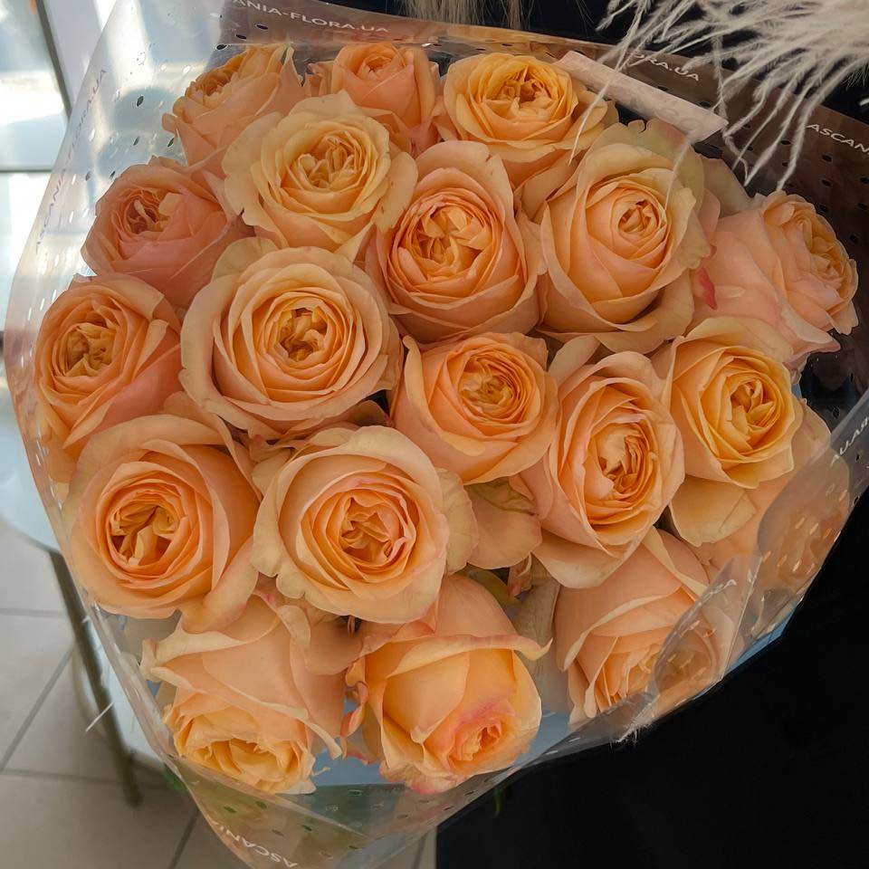 Троянда Ембер