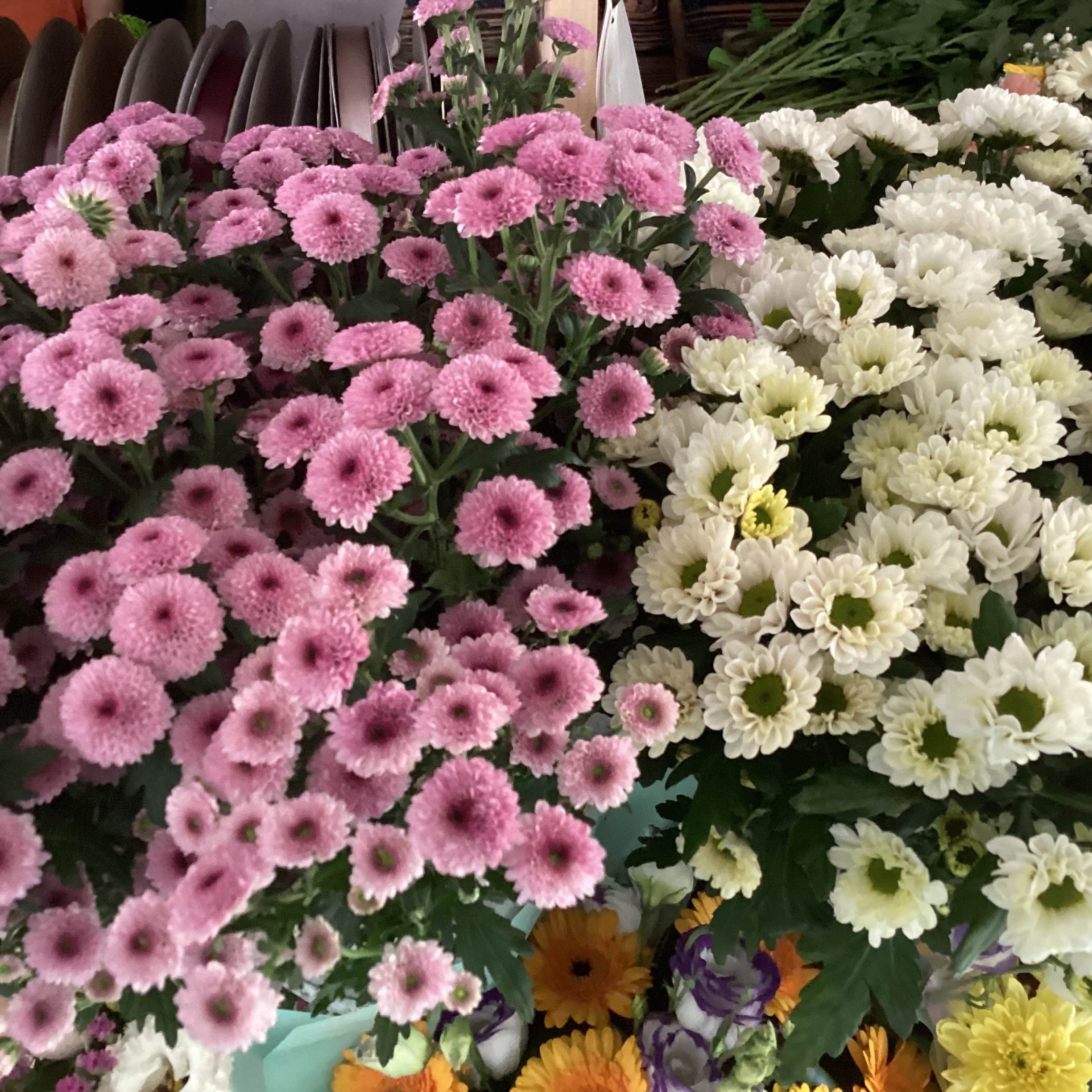Сантіні