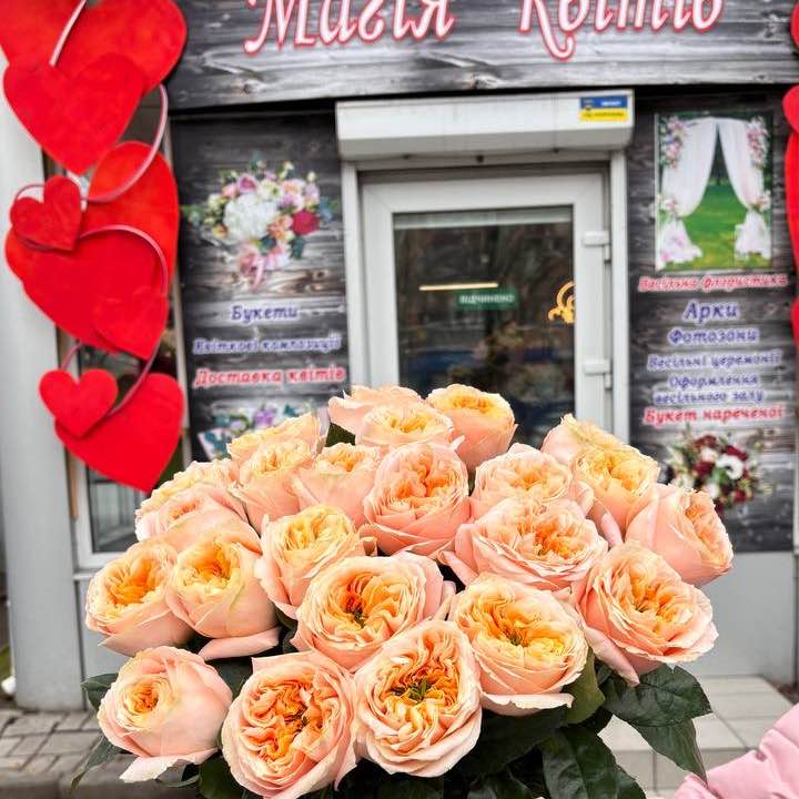 Мелані експрешн 
