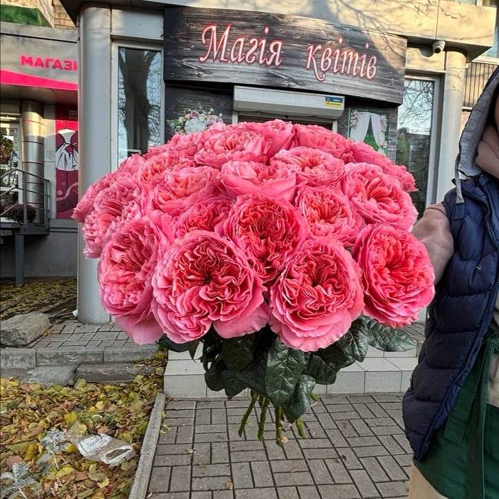 Пінк експрешн