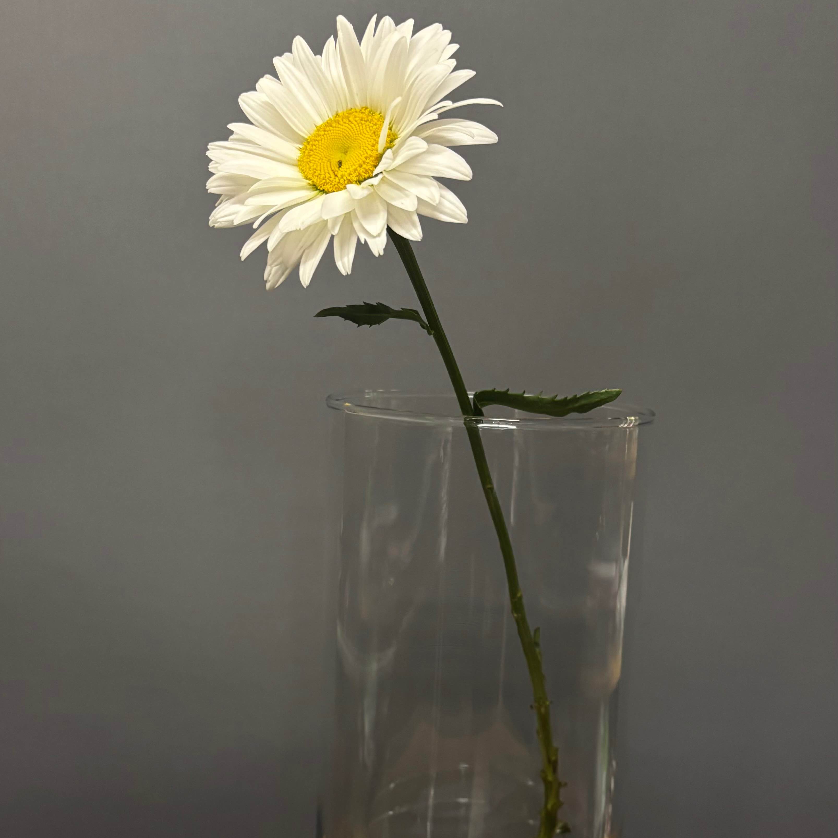Ваза Flora 29 cm