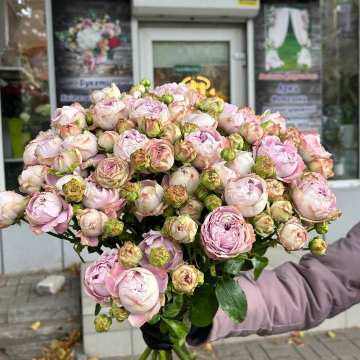 Блоссом Баблс