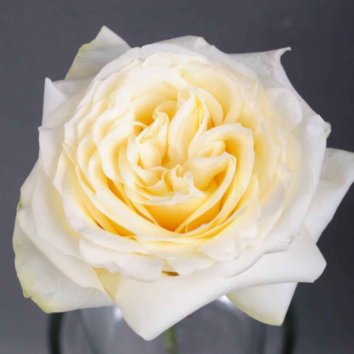 Кендлайт 50 см