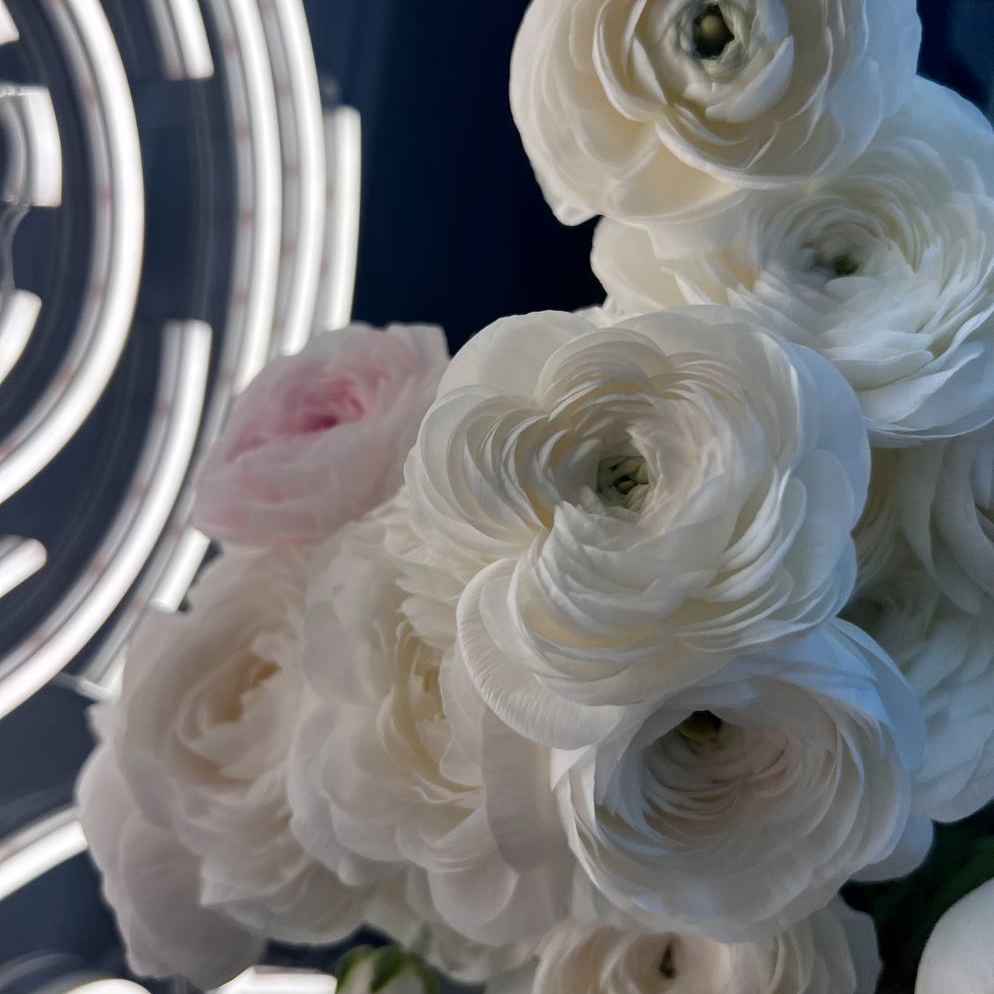 Ранункулюс клуні