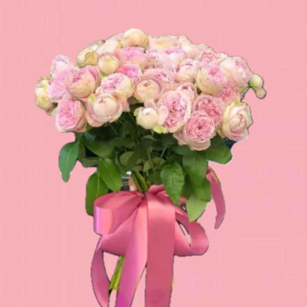 Кущова троянда Блоссом Баблз 