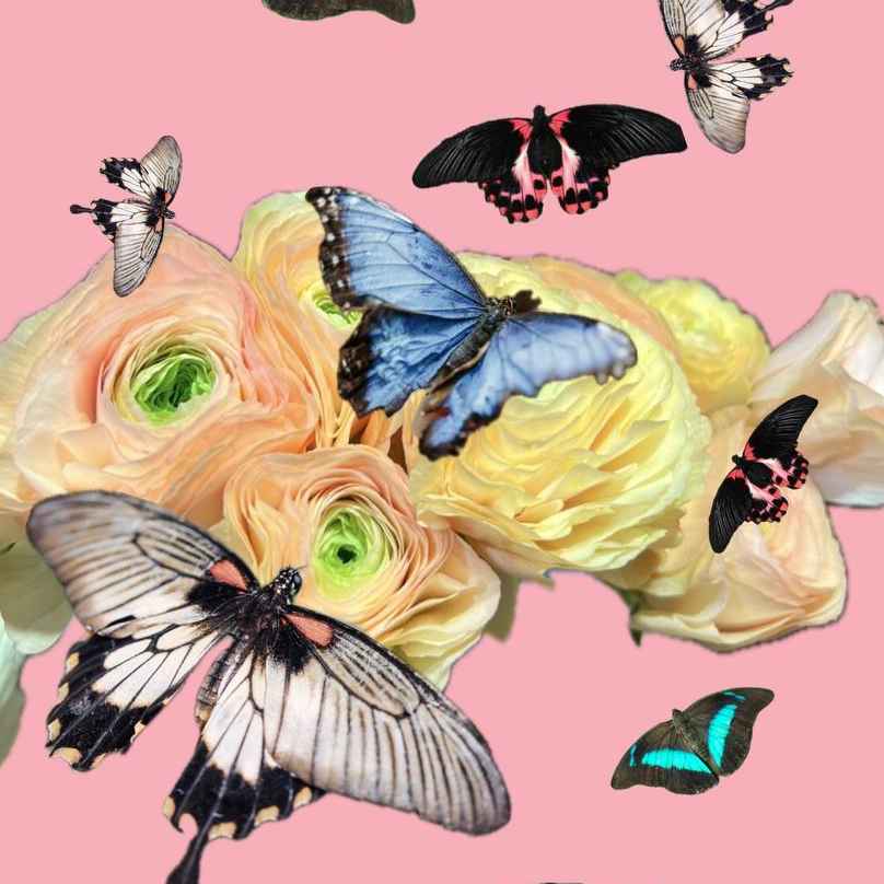 Метелик 1 шт