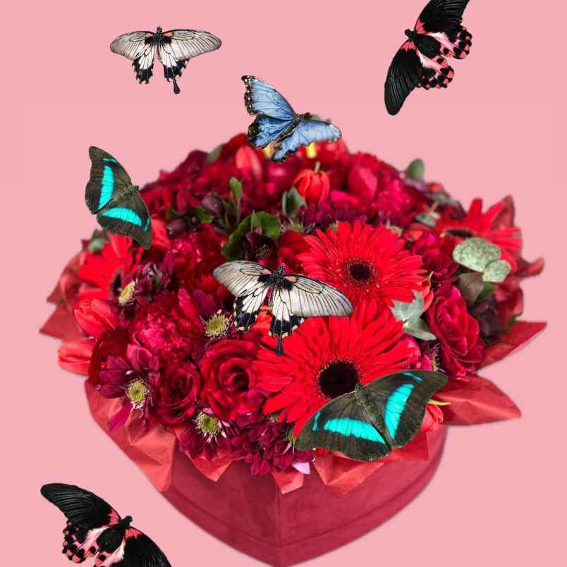 Феєрверк з метеликів 10 шт