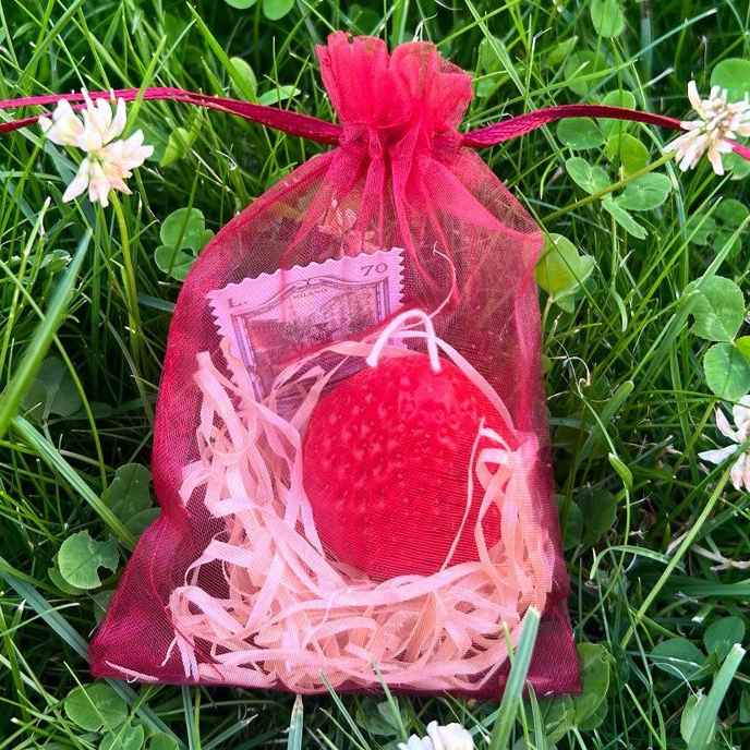 Полуниця у мішечку