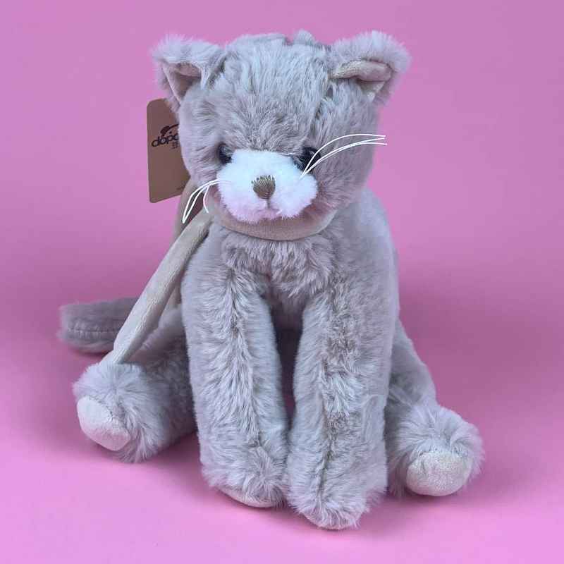 Котик Сірко