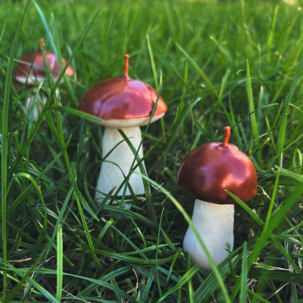 Свічка білий гриб маленький