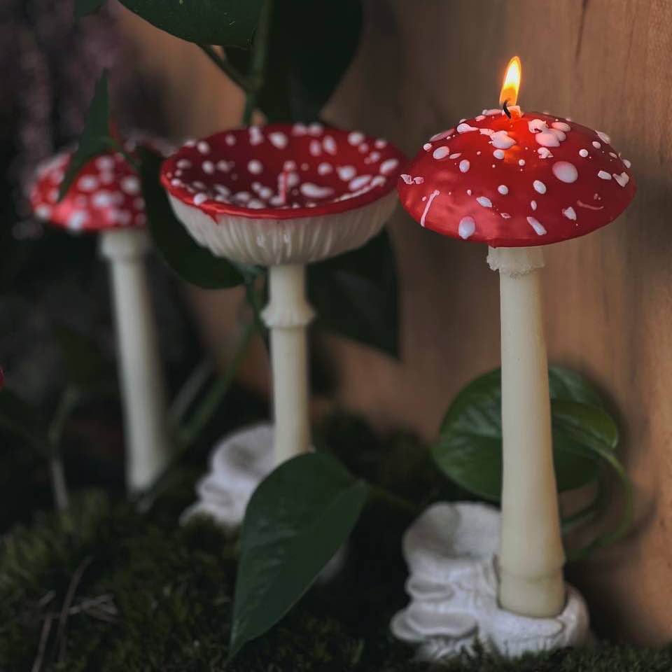 Свічка мухомор високий
