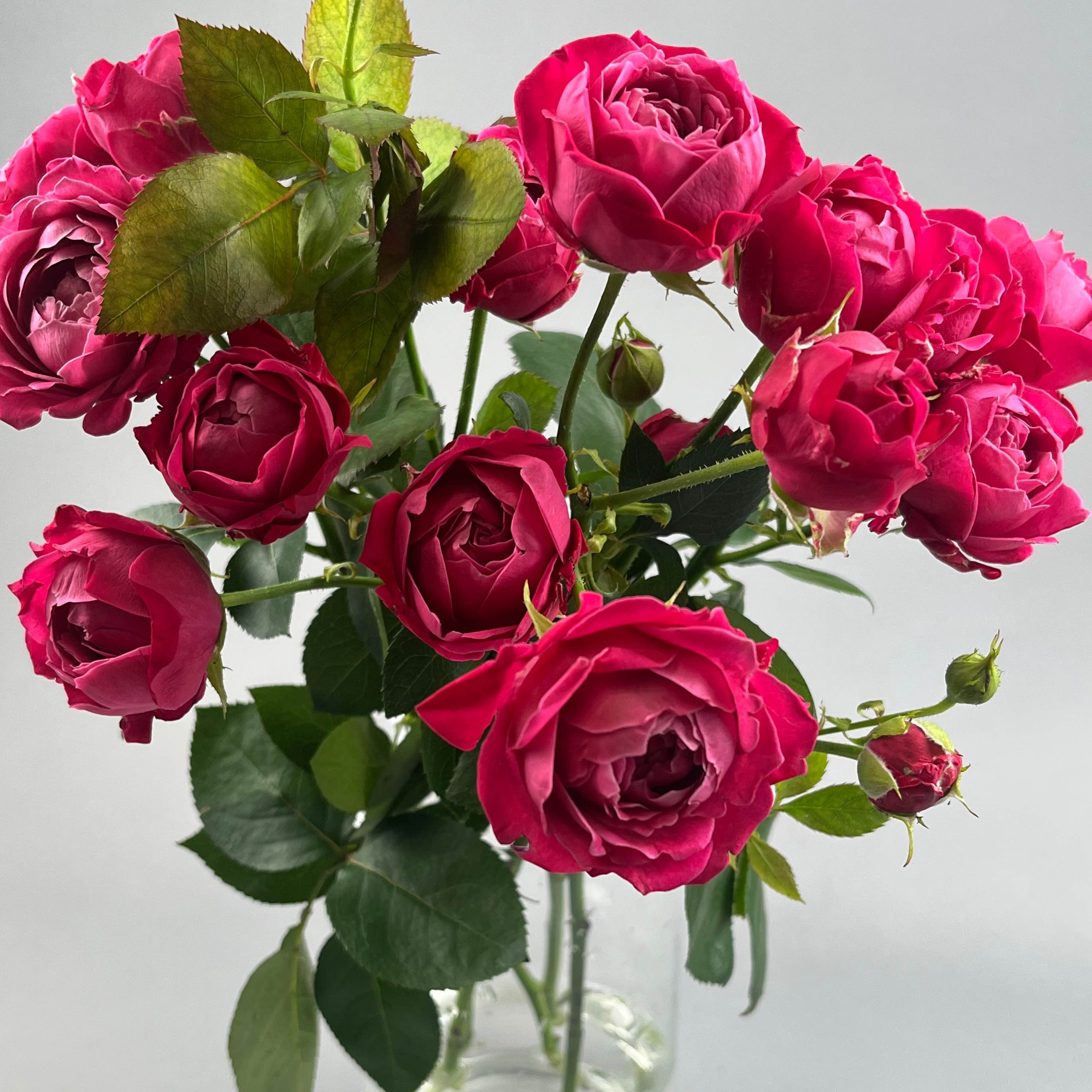 Марвелоус Баблз