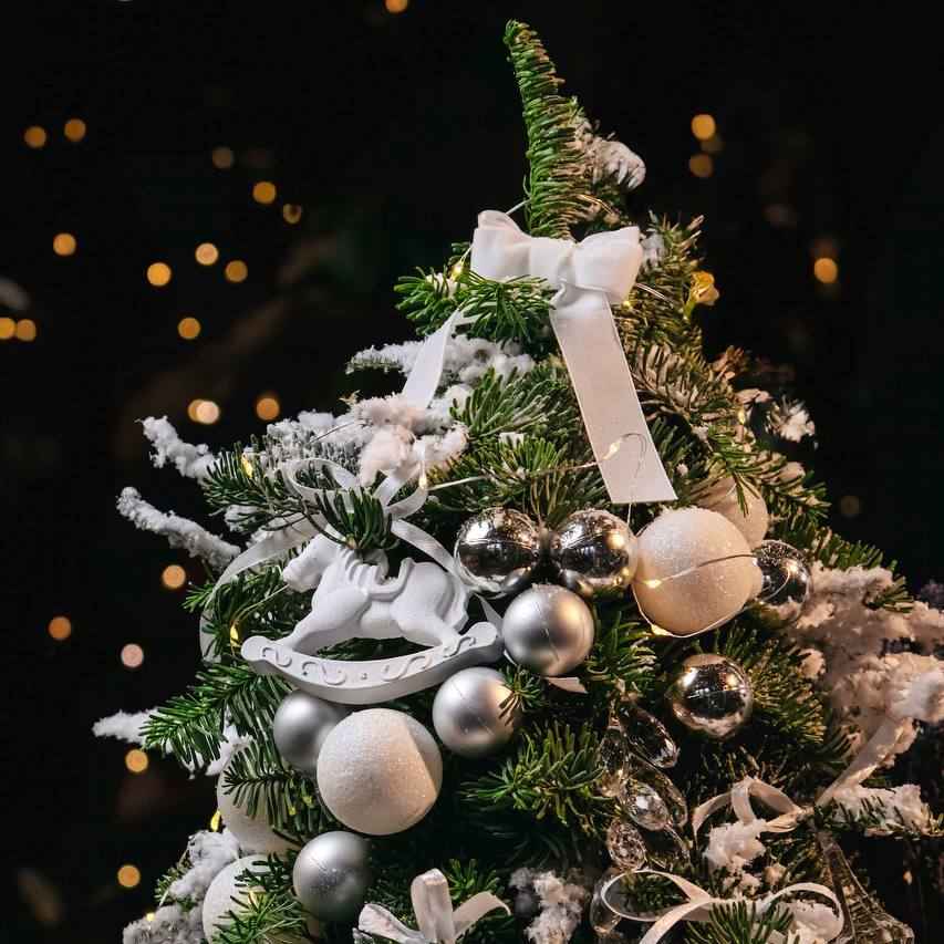 Ялинка Міні