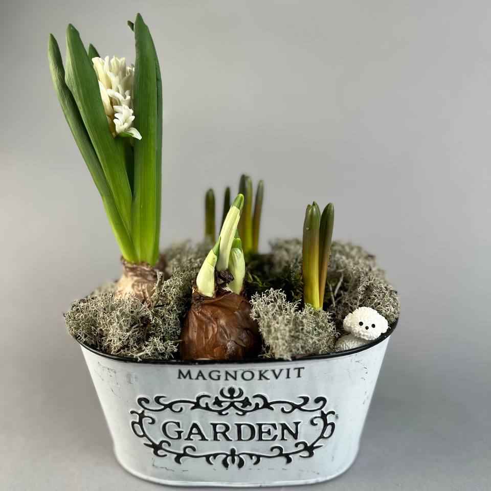 Композиція  у довгому відерці 2