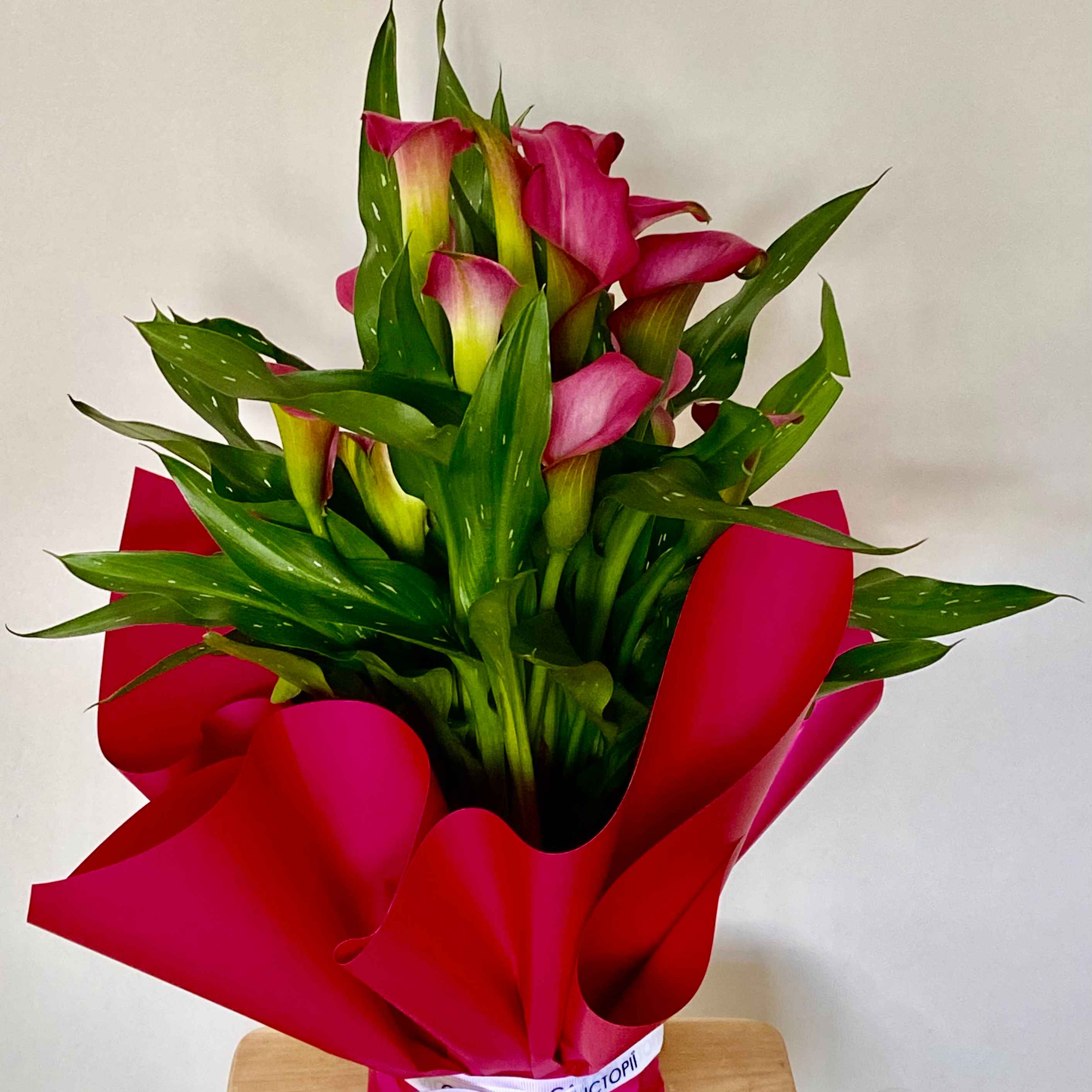 Зантедескія мікс (Кала)