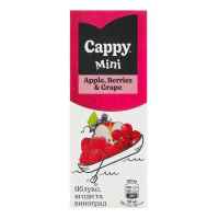Сік Cappy 0,2