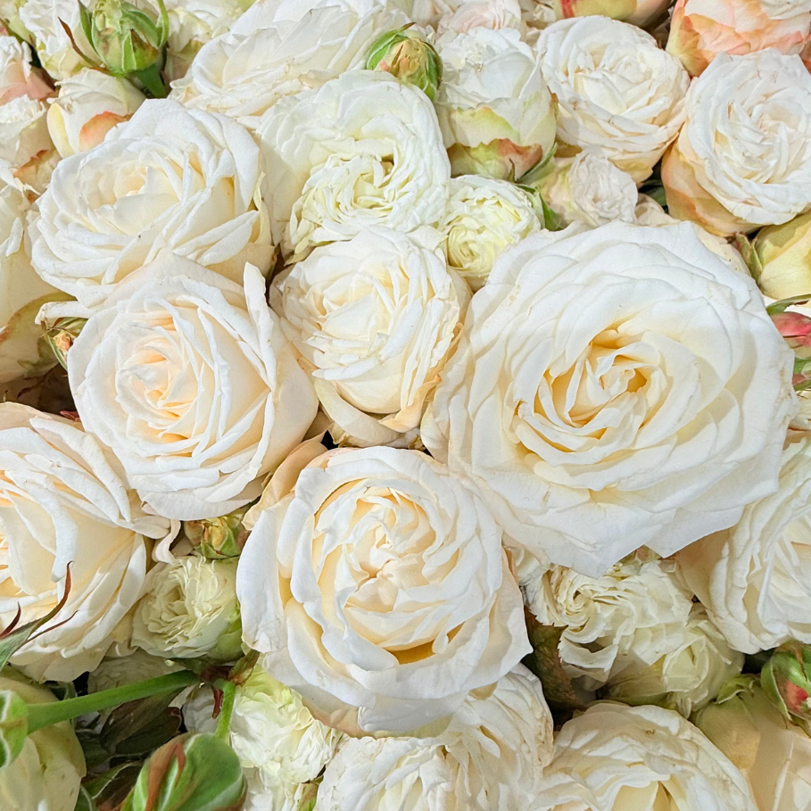 Тр Спрей Принцеса Бомбастік 50 см/1