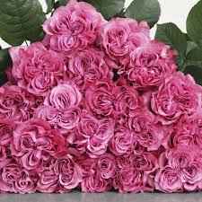 Тр Кантрі Блу 60 см