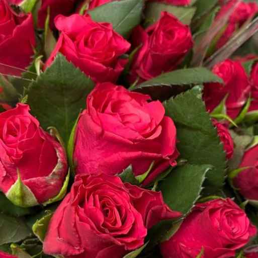 Тр Таказі 60 см