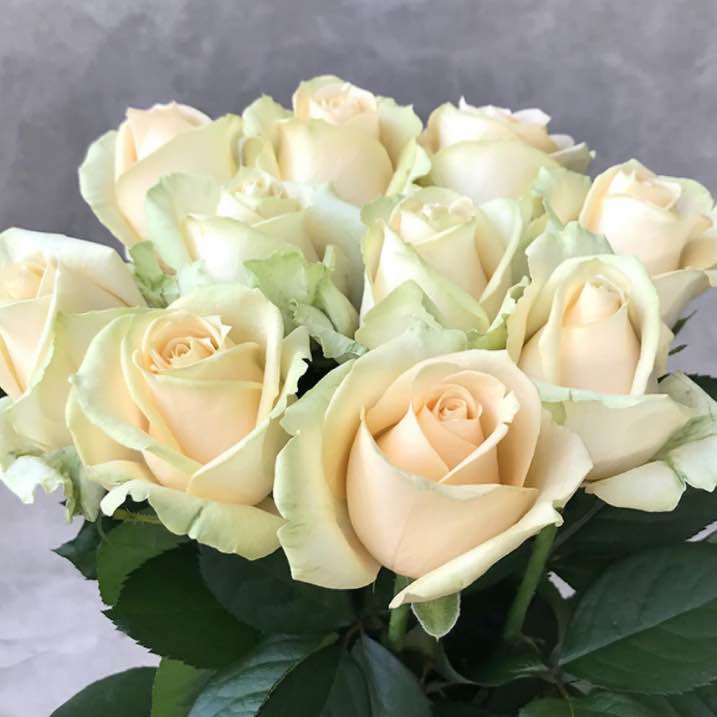 Тр Піч Аваланч 70 см