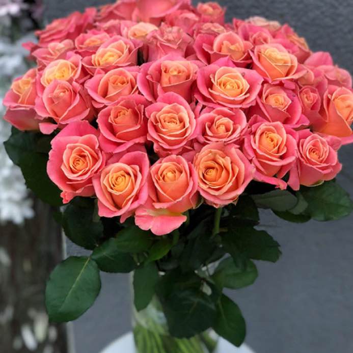 Тр Міс Піггі 60 см