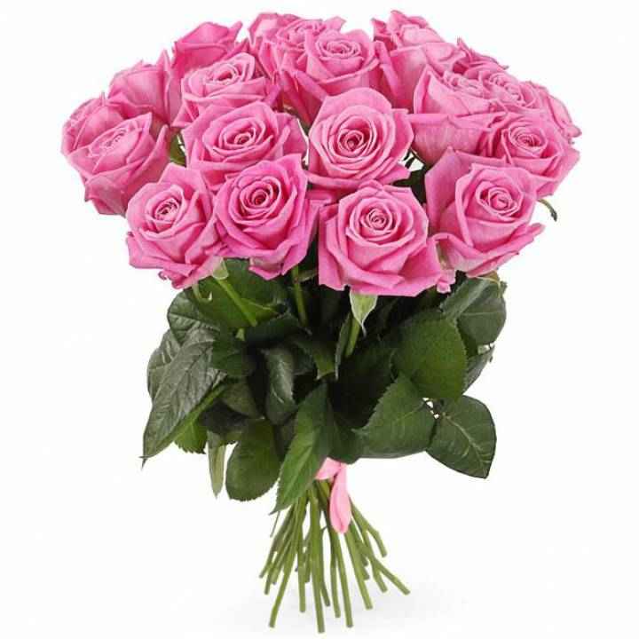 Тр Аква 50 см