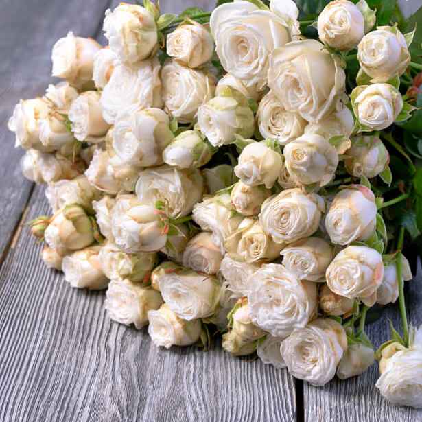 Тр Спрей Принцеса Бомбастік 40 см