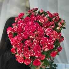 Тр Спрей Фаєрворкс 60 см